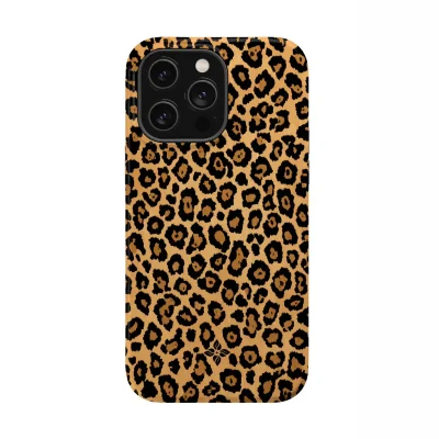 Sahara Leopard